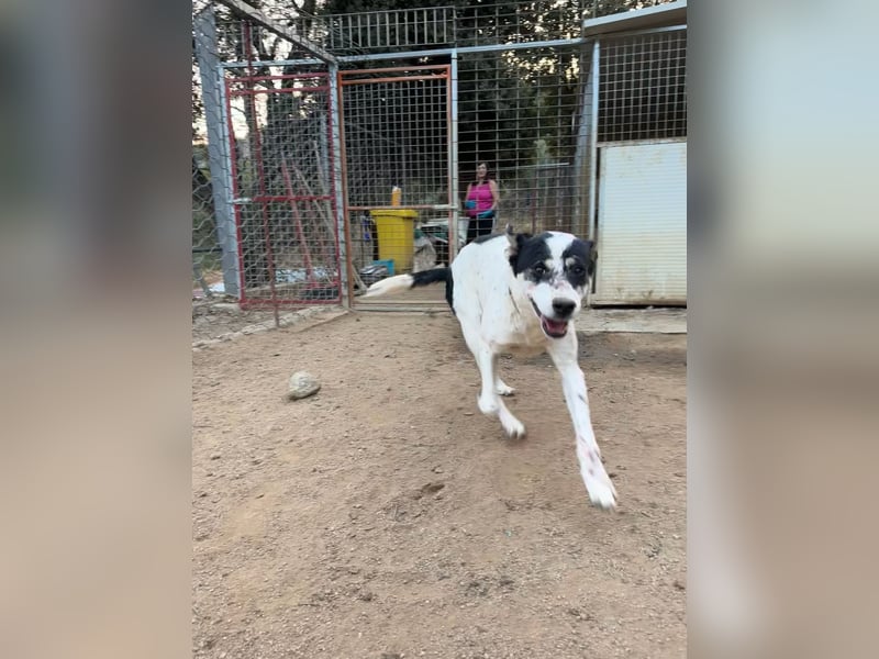 FRANCESCA - so weich & kuschelbedürftig