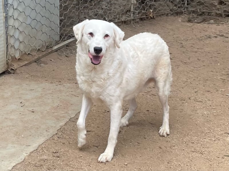 CANNONAU - freundlich & menschenbezogen