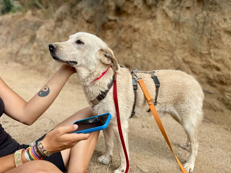 CHICCO - er braucht Menschen um sich