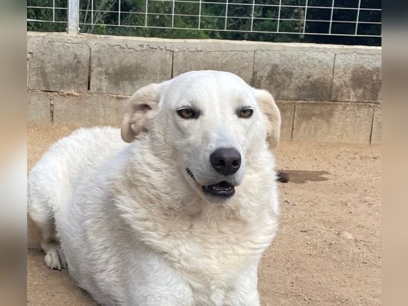 AGOSTINA - bildhübsch und freundlich