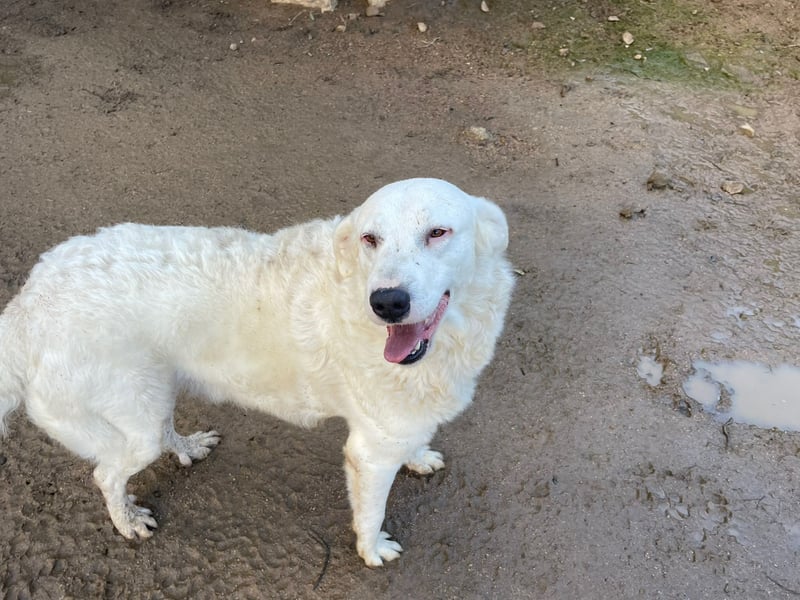 CANNONAU - freundlich & menschenbezogen