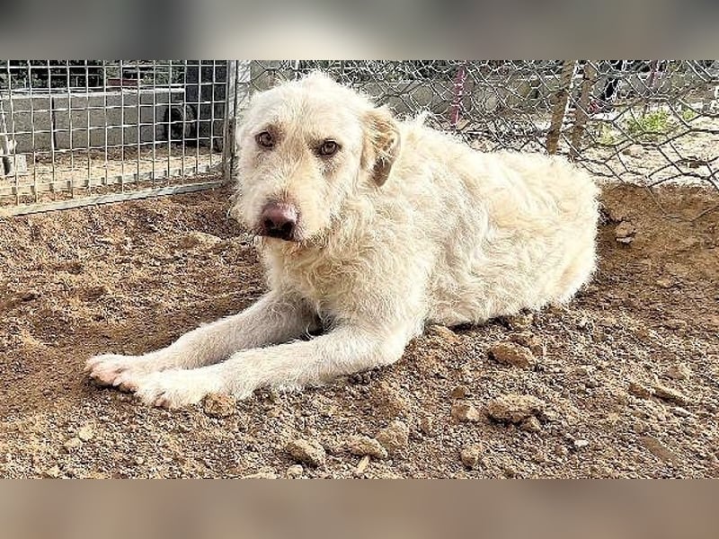 HAKUNA - so hübsch und so nett