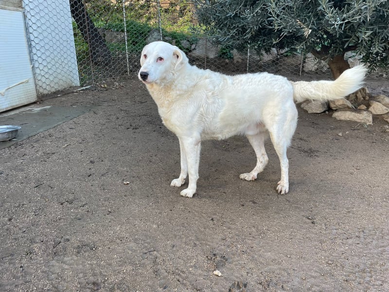 CANNONAU - freundlich & menschenbezogen