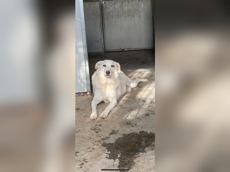 AGOSTINA - bildhübsch und freundlich