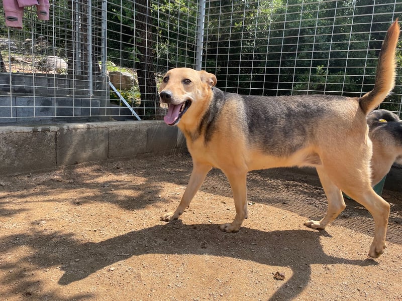 ROSALIE - unser toller Wonneproppen