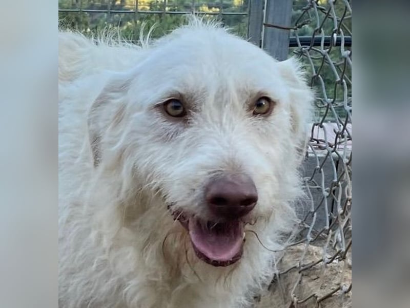 HAKUNA - so hübsch und so nett