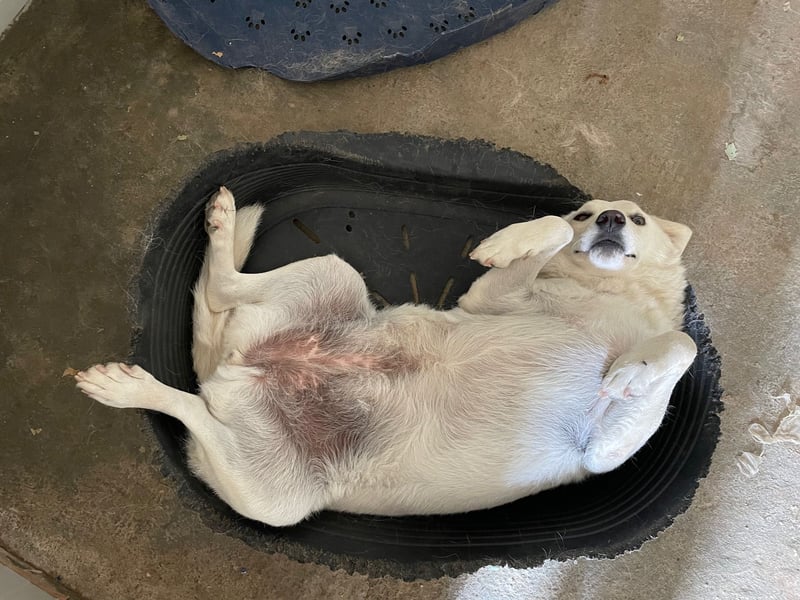 AGOSTINA - bildhübsch und freundlich