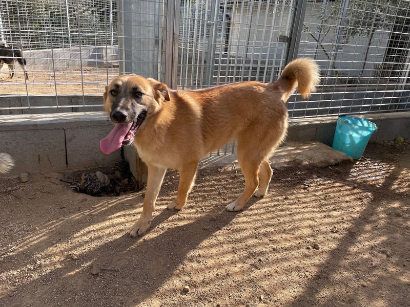 MEG - sie braucht aktive Menschen