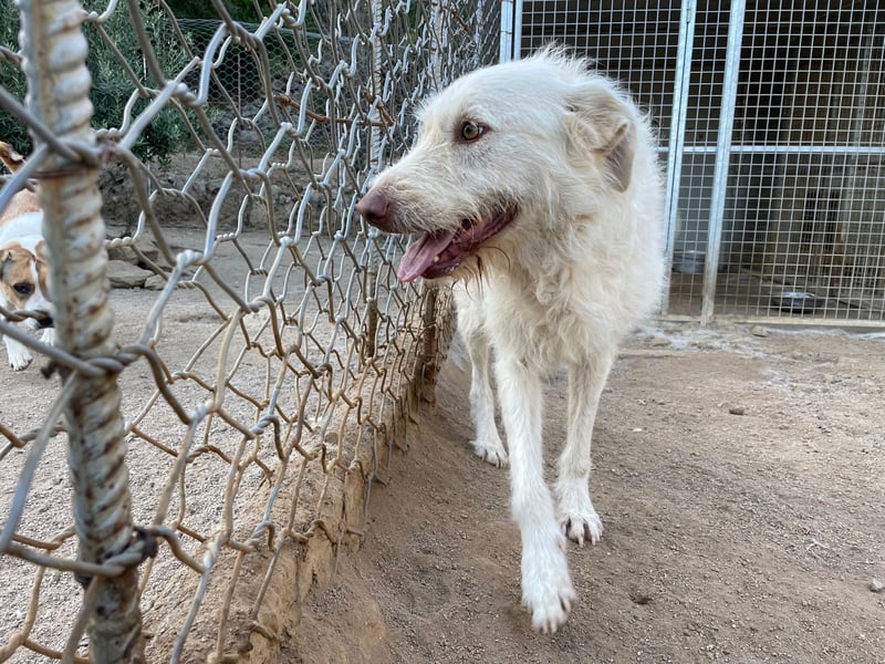 HAKUNA - so hübsch und so nett