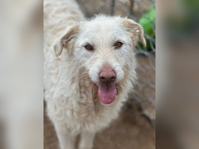 HAKUNA - so hübsch und so nett