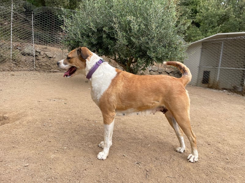 LUCINA - liebevolles Kraftpaket