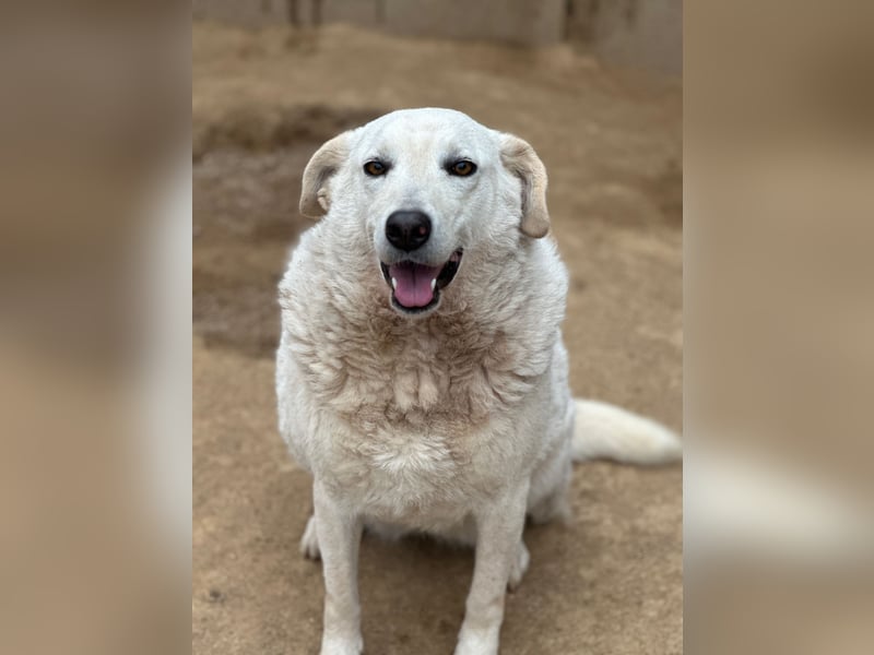 AGOSTINA - bildhübsch und freundlich