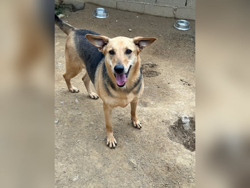 ROSALIE - unser toller Wonneproppen