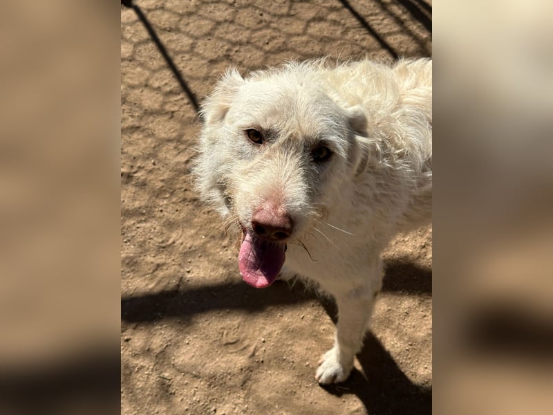 HAKUNA - so hübsch und so nett