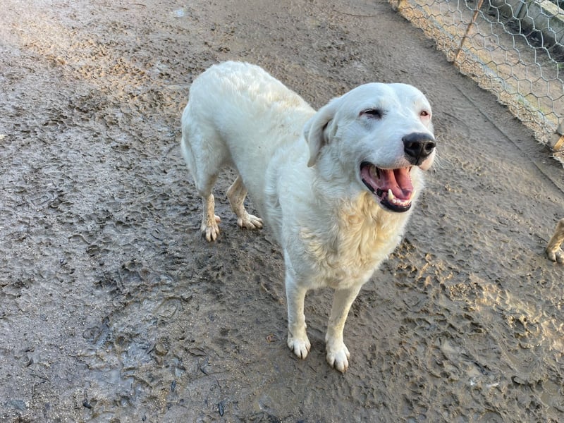 CANNONAU - freundlich & menschenbezogen