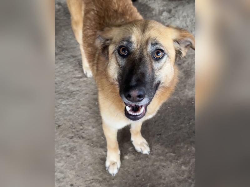 MEG - sie braucht aktive Menschen