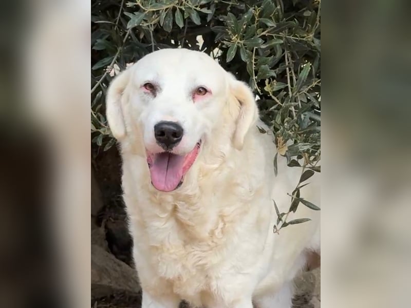 CANNONAU - freundlich & menschenbezogen