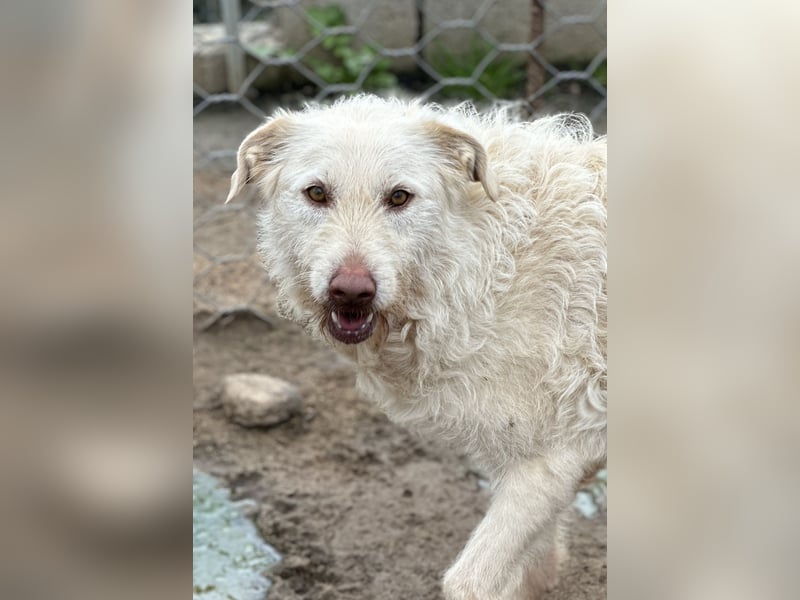 HAKUNA - so hübsch und so nett