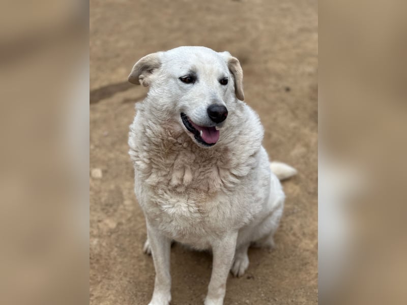 AGOSTINA - bildhübsch und freundlich