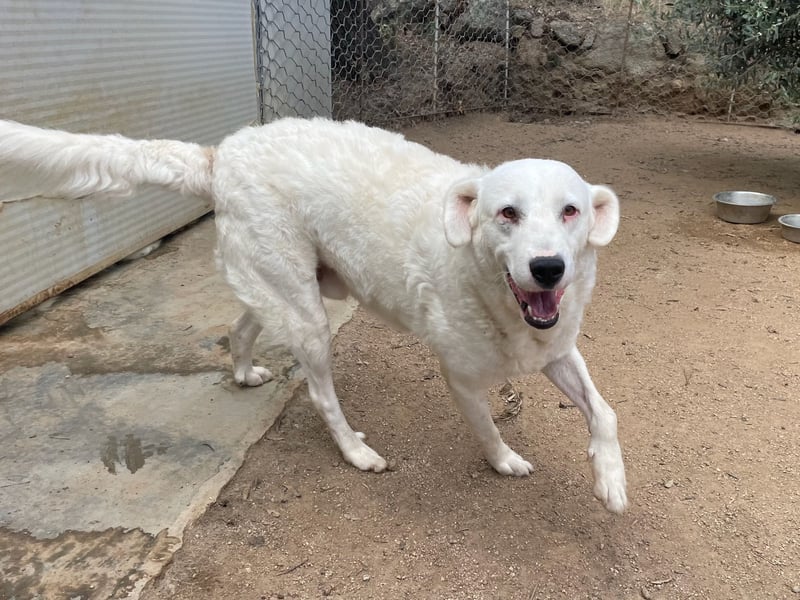 CANNONAU - freundlich & menschenbezogen