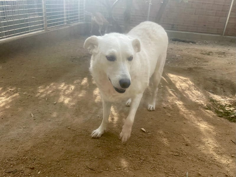 AGOSTINA - bildhübsch und freundlich