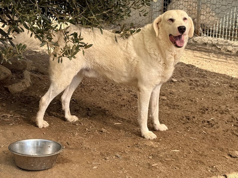 CANNONAU - freundlich & menschenbezogen