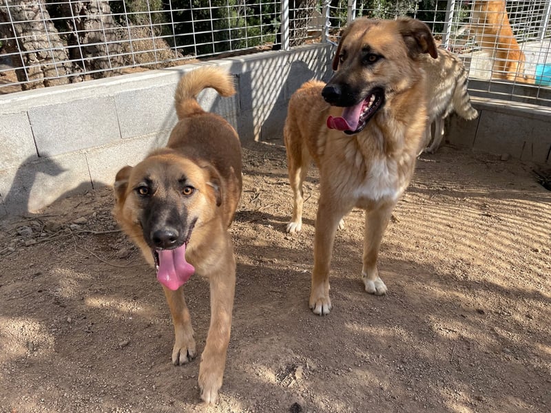 MEG - sie braucht aktive Menschen