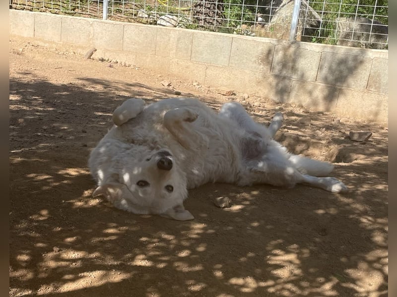 AGOSTINA - bildhübsch und freundlich