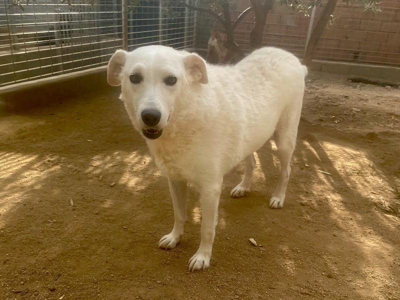 AGOSTINA - bildhübsch und freundlich