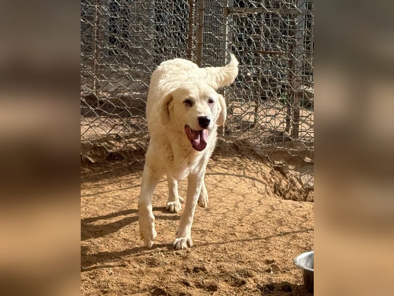 CANNONAU - freundlich & menschenbezogen