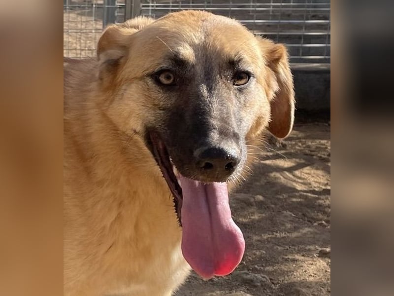 MEG - sie braucht aktive Menschen