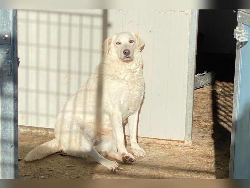 AGOSTINA - bildhübsch und freundlich