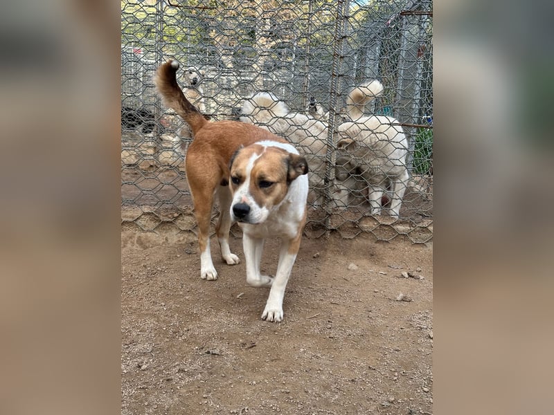 LUCINA - liebevolles Kraftpaket