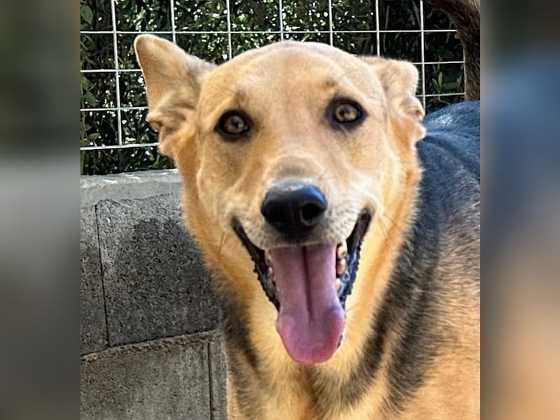 ROSALIE - unser toller Wonneproppen