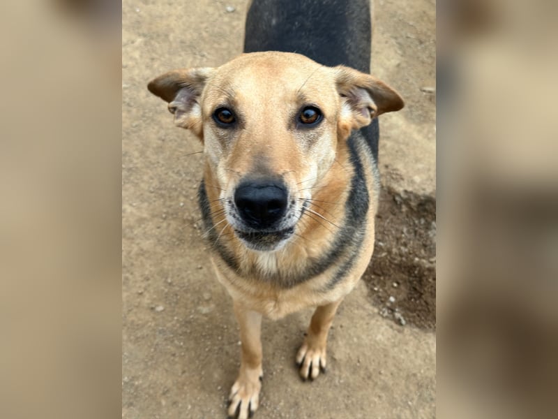 ROSALIE - unser toller Wonneproppen