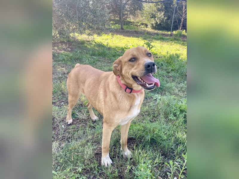 KIRA - eine liebe Seele