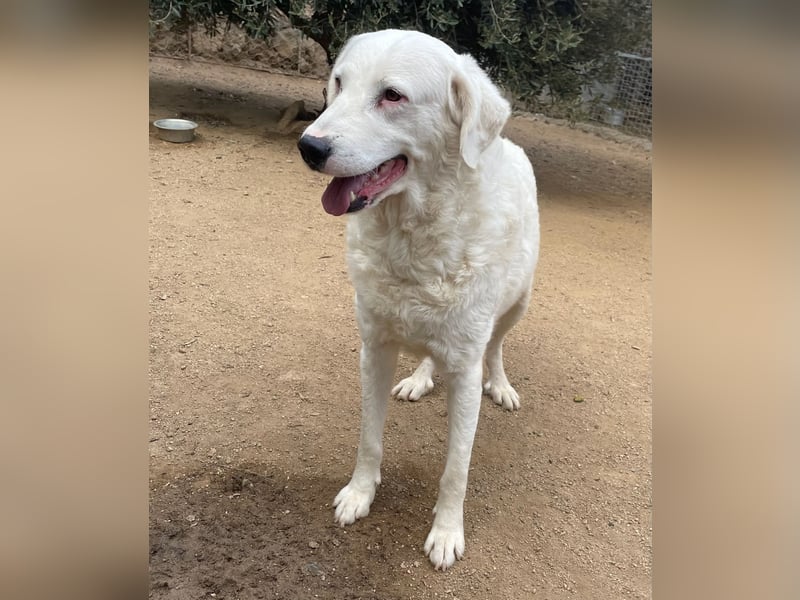 CANNONAU - freundlich & menschenbezogen