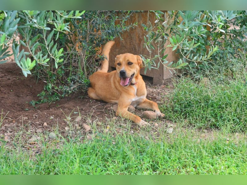 KIRA - eine liebe Seele