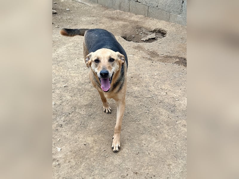 ROSALIE - unser toller Wonneproppen