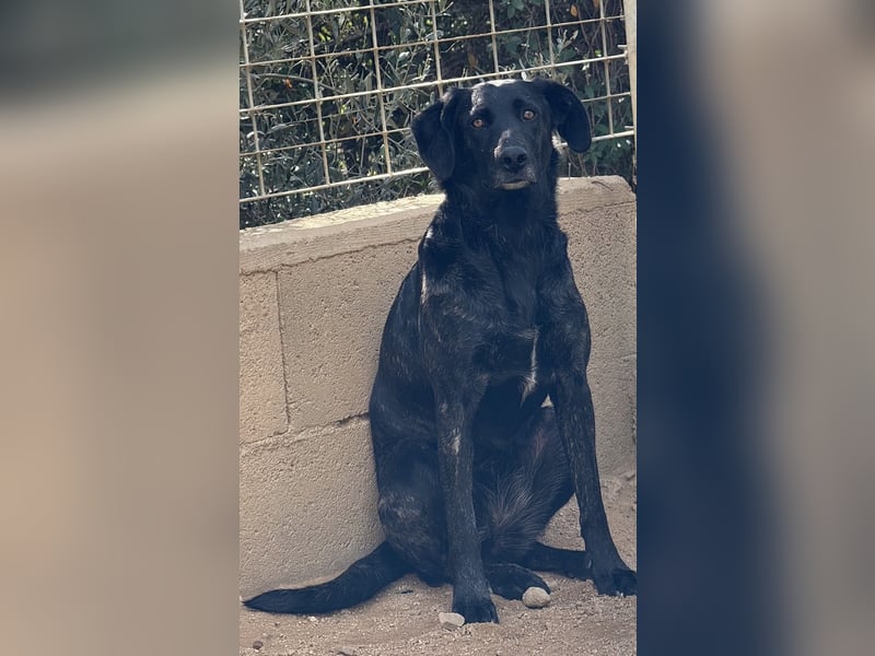 BROWNIE - sie taut langsam auf