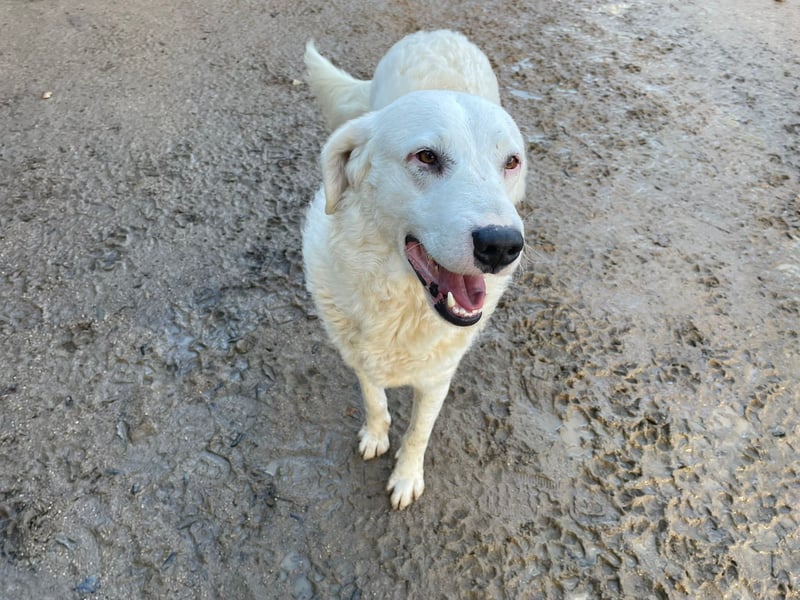 CANNONAU - freundlich & menschenbezogen