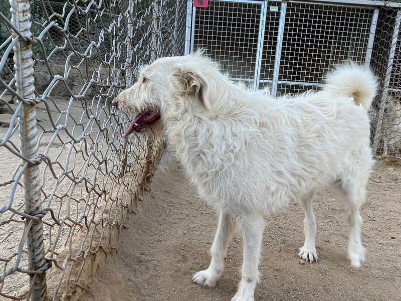 HAKUNA - so hübsch und so nett