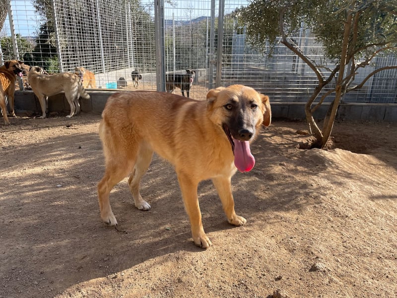 MEG - sie braucht aktive Menschen