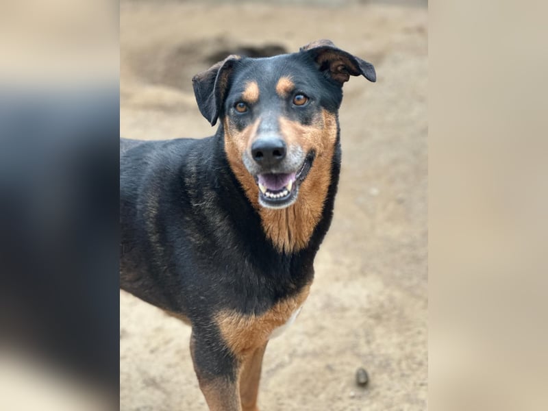 PEPPA - sie braucht ein Wunder