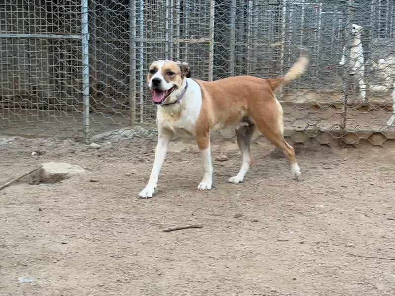 LUCINA - liebevolles Kraftpaket