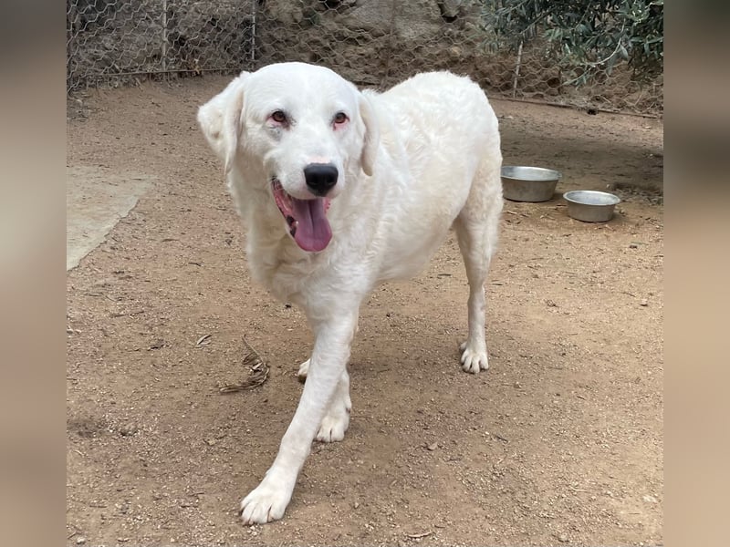 CANNONAU - freundlich & menschenbezogen