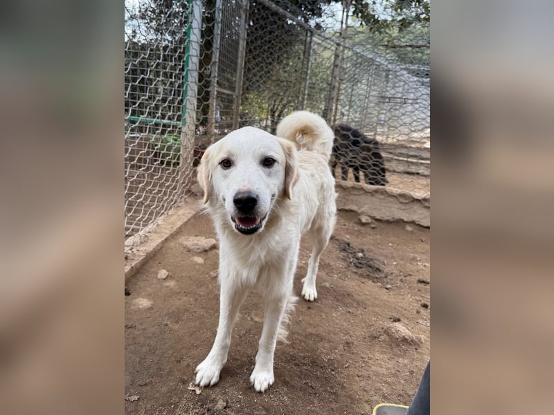GAETANO - so schön wie ein Coverboy