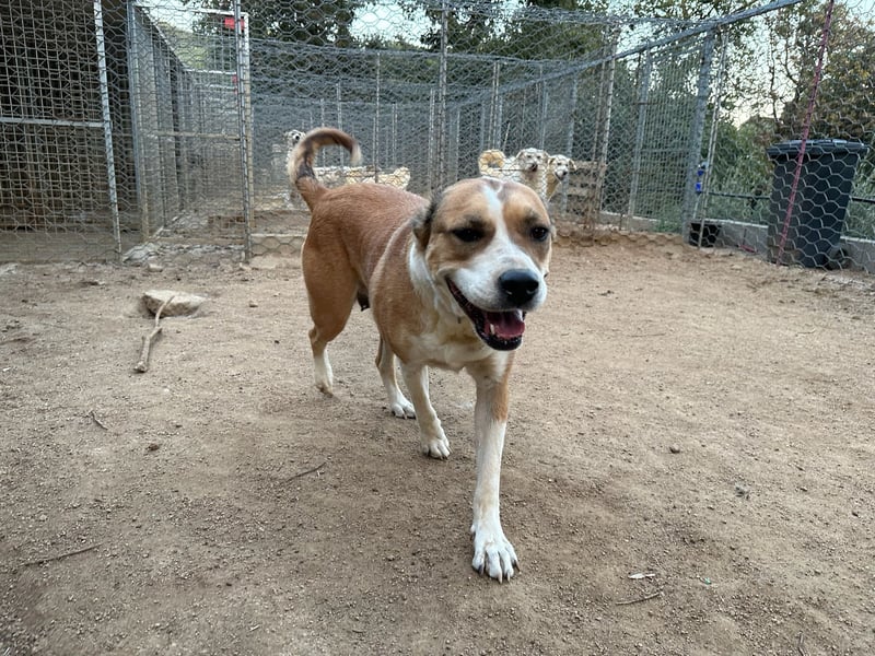 LUCINA - liebevolles Kraftpaket