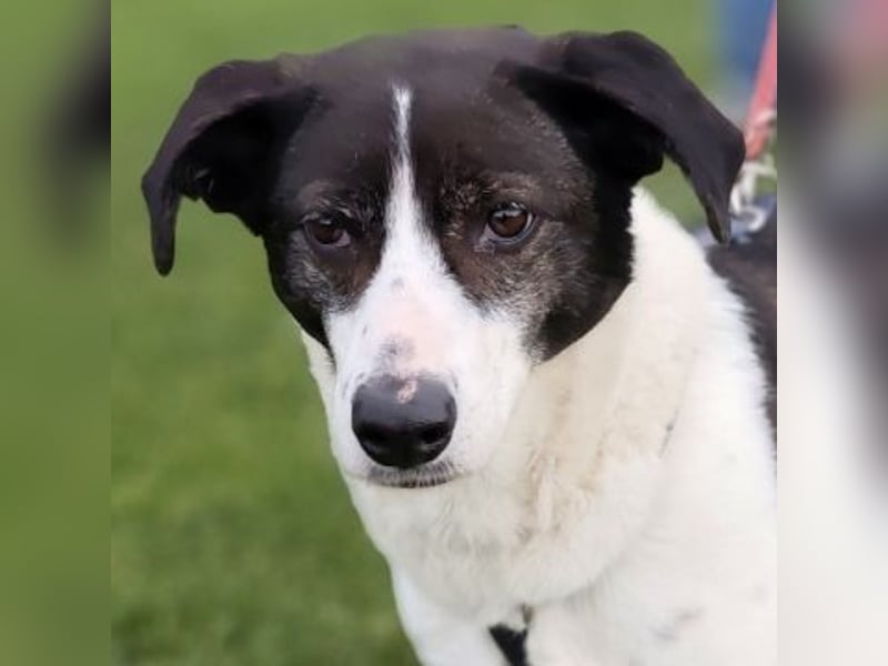 Sonnenschein Samantha wartet in 71522 Backnang