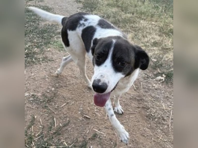 Sonnenschein Samantha wartet in 71522 Backnang